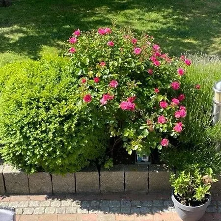 Haus Antje Apartamento